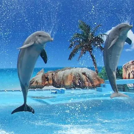 アパート 1 Bed Flat - Sleeps 2 - Parking - Wifi アルブフェイラ